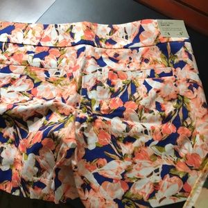 J Crew Shorts